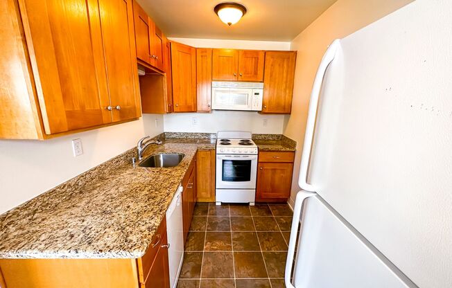 Studio, 1 bath, 456 sqft, $1,595, Unit 202