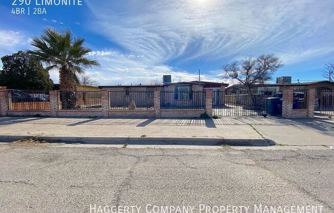 290 LIMONITE