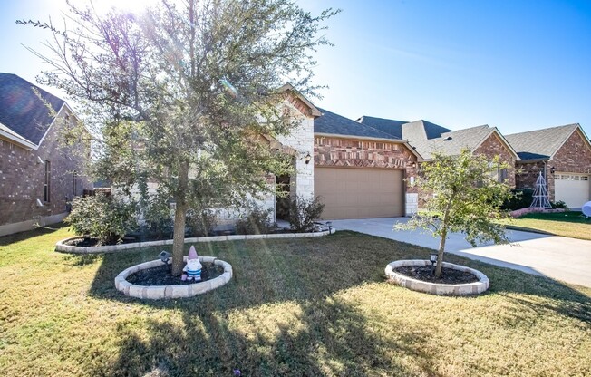 1721 ELAINA LOOP