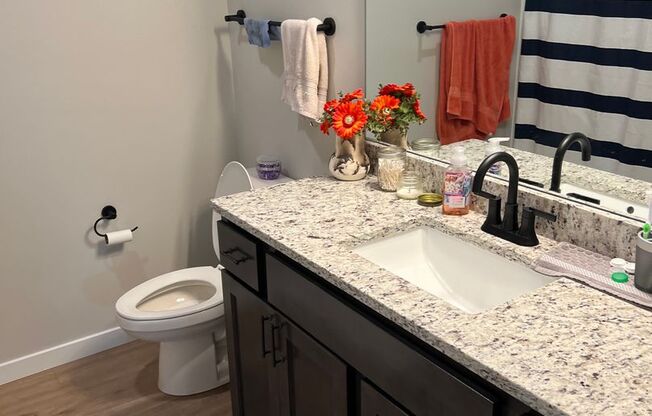 3 beds, 2 baths, 1,006 sqft, $1,800, Unit 500-308