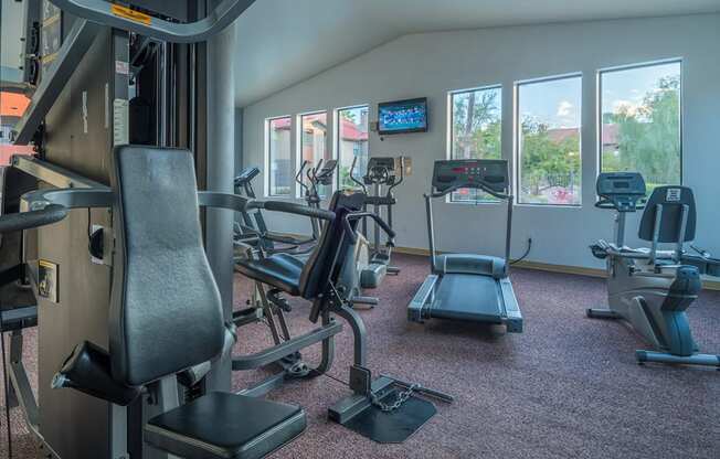 Enclave fitness center with weight stations and fitness equipment