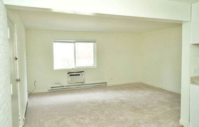 1 bed, 1 bath, $1,200, Unit Apt #13