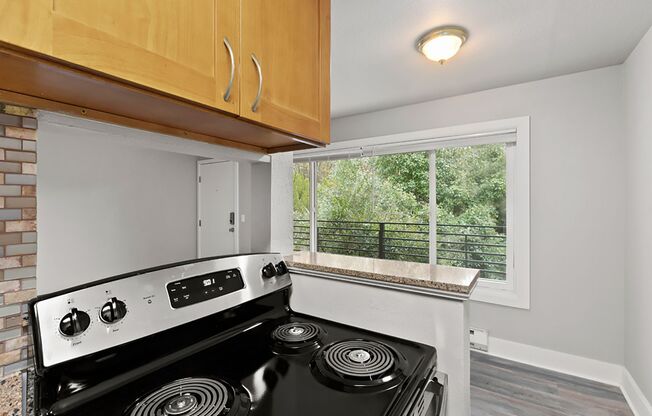 Beautiful Renovated Units in West Seattle
