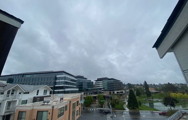 Studio, 1 bath, 178 sqft, $1,375, Unit 512