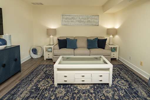 A living room with a couch, a coffee table, and a rug.