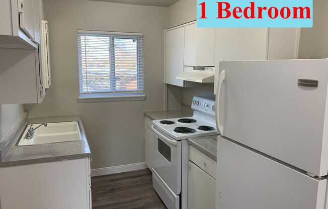 1 bed, 1 bath, 560 sqft, $655, Unit Unit 03