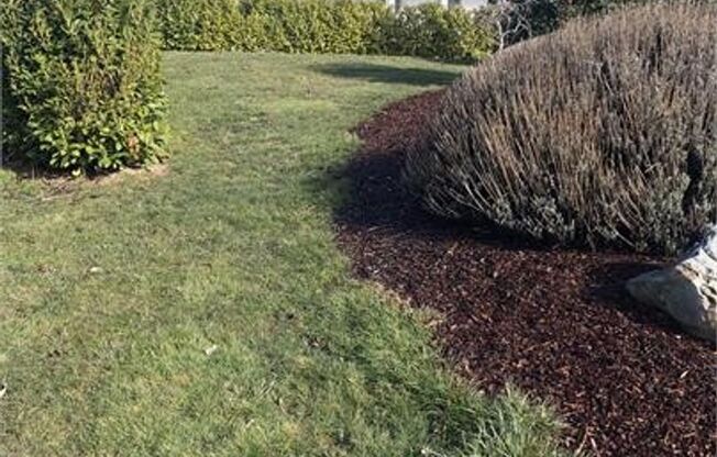 Wonderful Fully Furnished Cairn Cottage in Coupeville on a Cul de Sac