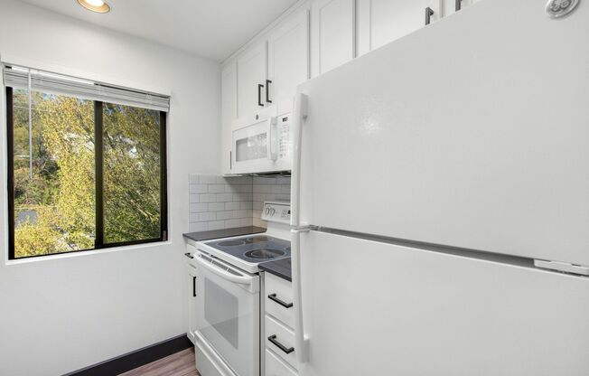 1 bed, 1 bath, $2,195, Unit 101