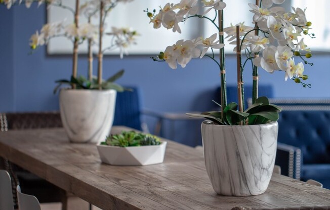 2 beds, 2 baths, 1,126 sqft, $3,527, Unit 416