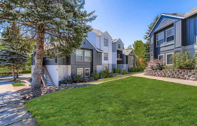 A row of houses with a tree in front of them.