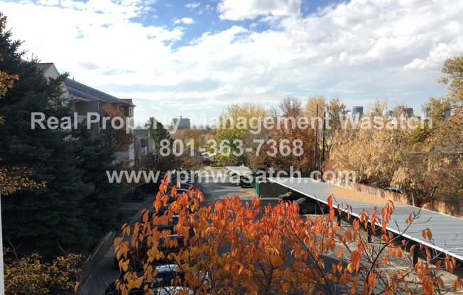 Charming 3 Bedroom 2 Bathroom Downtown Condo!