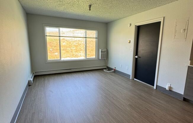 1 bed, 1 bath, $1,200, Unit UNIT 202