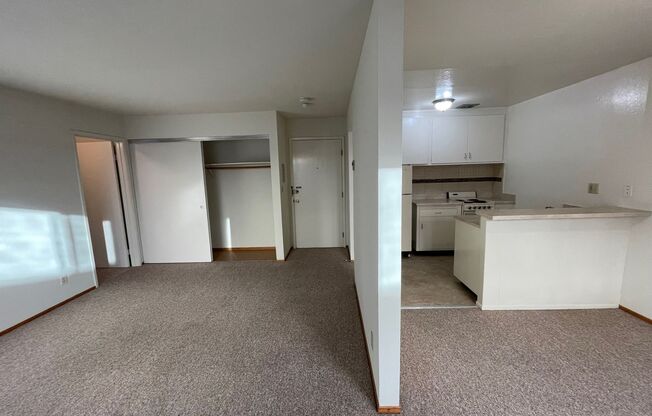 1 bed, 1 bath, 405 sqft, $1,545, Unit 304