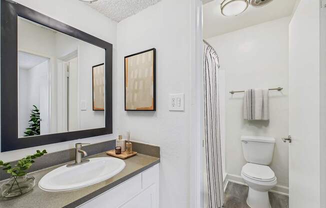 A bathroom with a white toilet and a mirror above the sink.