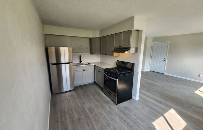 1 bed, 1 bath, $750, Unit #2