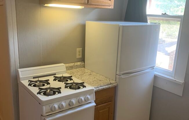 Studio, 1 bath, $935, Unit 408.5 E. 16th St