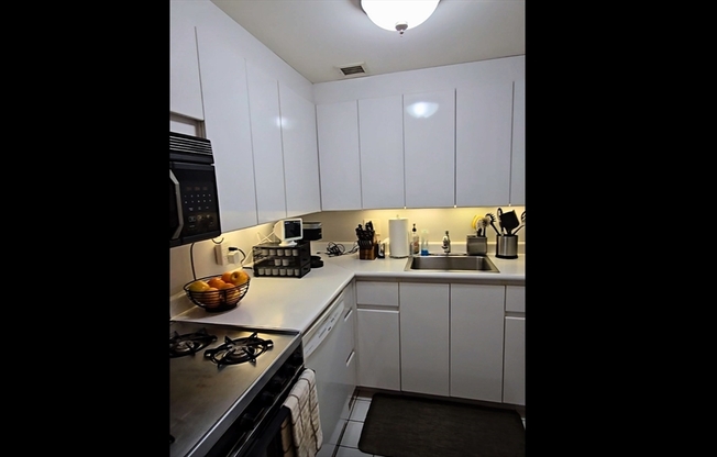 Studio, 1 bath, 537 sqft, $3,200, Unit 205
