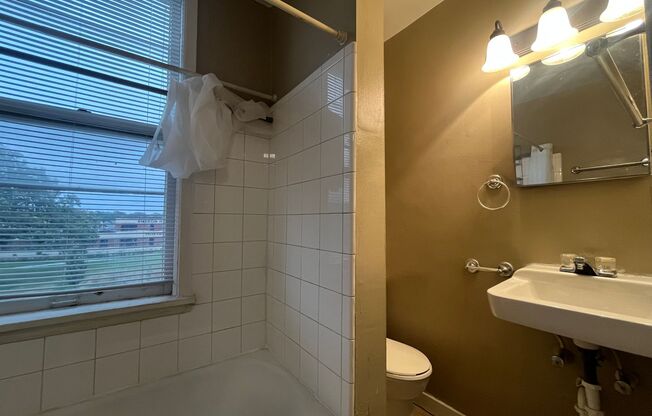 1 bed, 1 bath, 330 sqft, $888, Unit #3