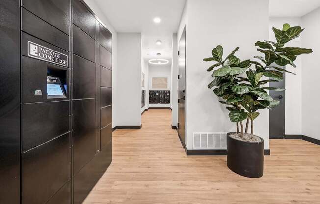 A plant in a black pot sits on a wooden floor in a modern office space.
