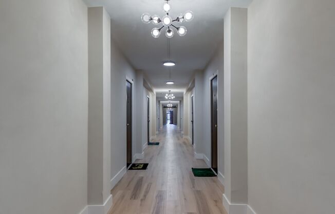 Renovated Studios, 1, & 2 bed apartments!