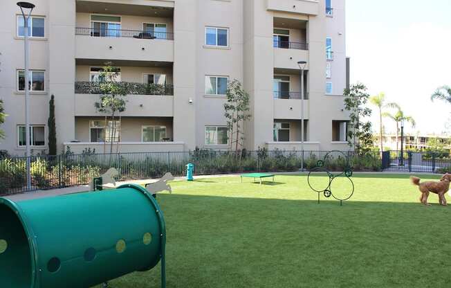 A dog is standing in a grassy area in front of a building.