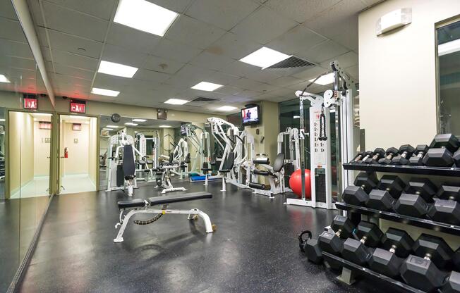 1 bed, 1 bath, 542 sqft, $3,500, Unit 12D