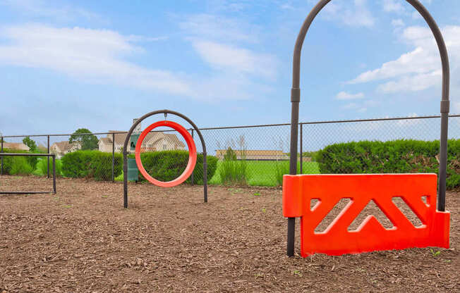 Dog Park with Equipment