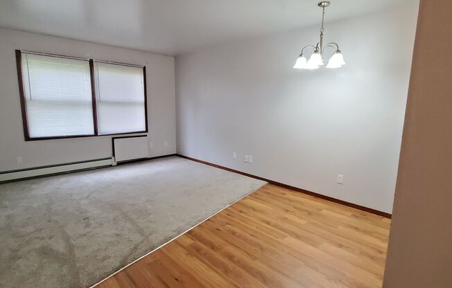 1 bed, 1 bath, $800, Unit Apt. 104