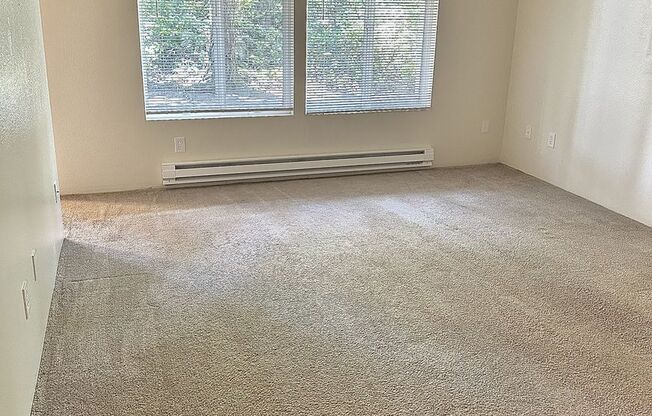 1 bed, 1 bath, 730 sqft, $1,300, Unit 7529-04
