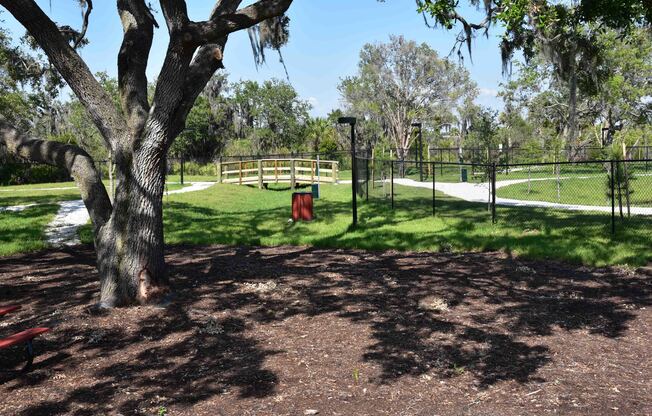 Dog park amenity