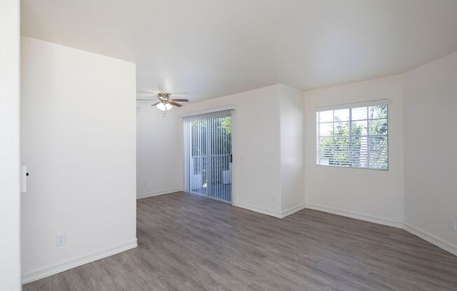 255 Ash Avenue