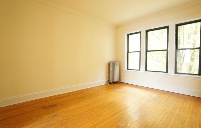 Studio, 1 bath, 491 sqft, $1,595, Unit 2336-1A