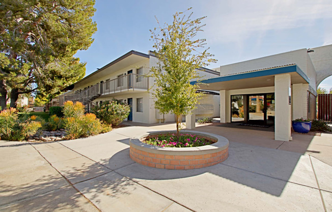 the exterior of a building with a sidewalk and a planter with a tree