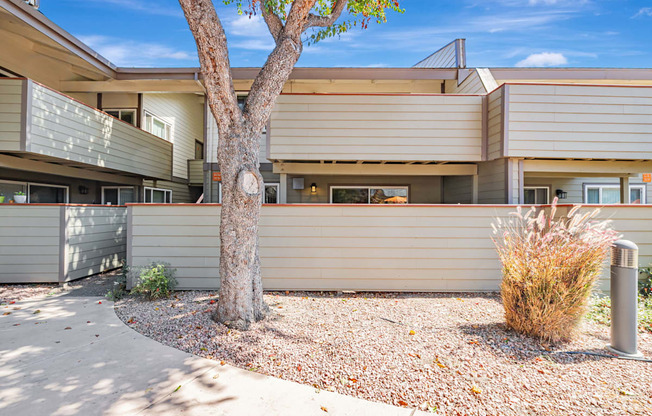 A tree stands in front of a building with a metal pole to the right.