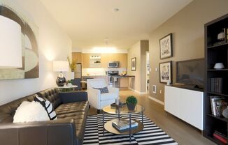 1 bed, 1 bath, 537 sqft, $1,449, Unit 503