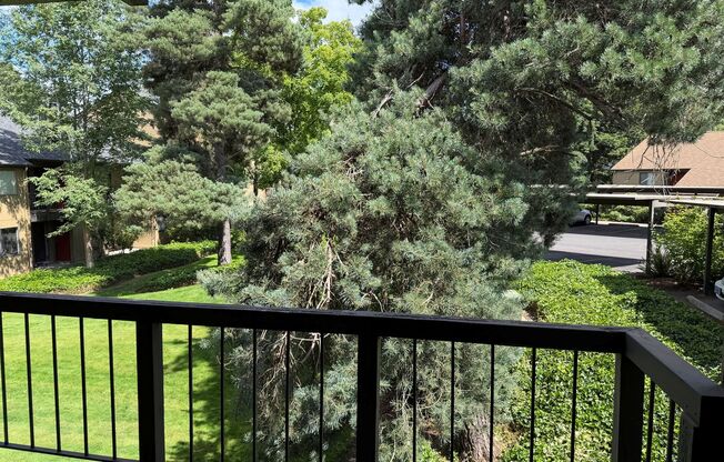 1 bed, 1 bath, 700 sqft, $1,440, Unit 0228