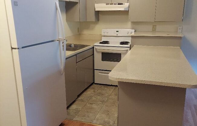 1 bed, 1 bath, 576 sqft, $1,295, Unit 3