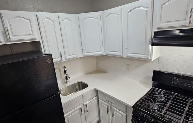1 bed, 1 bath, 750 sqft, $1,750, Unit Apt 2L