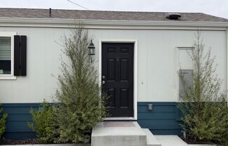 331 Avocado St