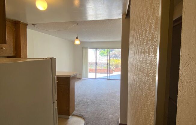 Studio, 1 bath, 418 sqft, $1,495, Unit 105