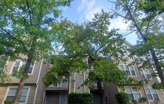 1006 Woodcreek Drive Unit 04