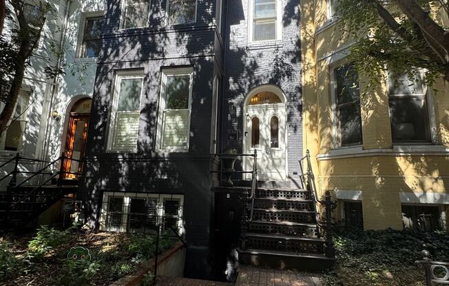 Newly Renovated, AMAZING Location, One Bedroom in West End! -Private Patio!