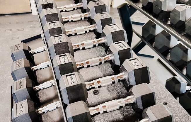 Row of dumbells at Hamilton Reserve, Greensboro, 27407