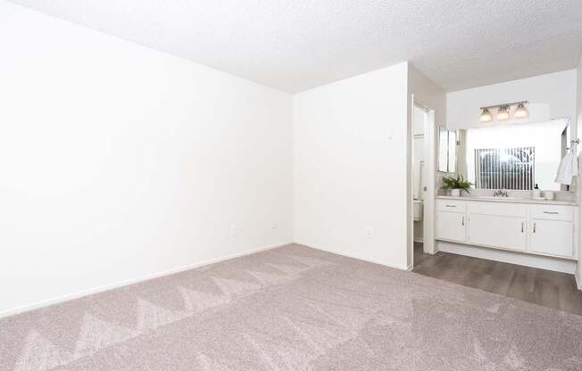 A room with a carpet and a cabinet with a mirror.