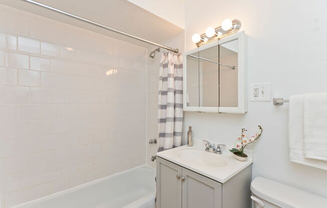 1 bed, 1 bath, $1,450, Unit 301