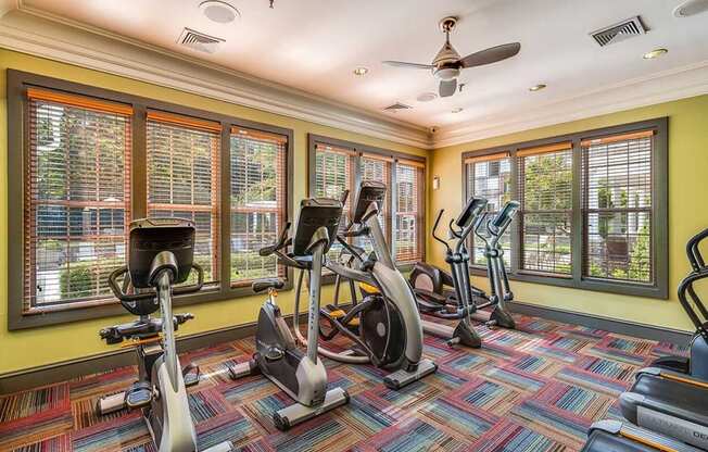 the gym has a slew of exercise bikes and windows