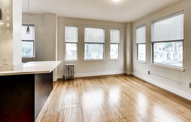Studio, 1 bath, 450 sqft, $2,400, Unit 205