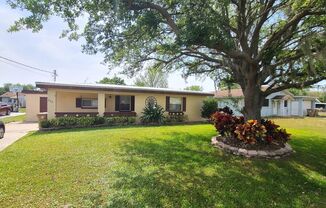 Charming 3 Bedroom 1 Bath Home with Spacious Yard ~ No HOA