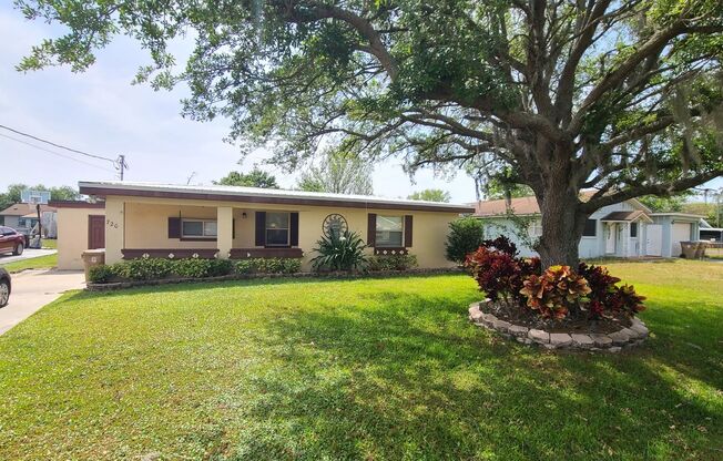 Charming 3 Bedroom 1 Bath Home with Spacious Yard ~ No HOA