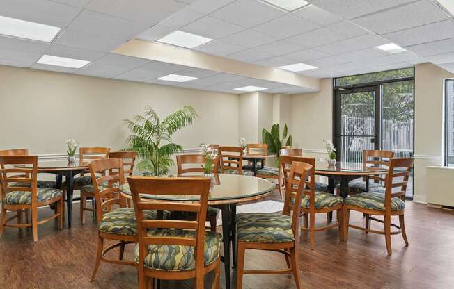 A room with tables and chairs and a plant in the middle.